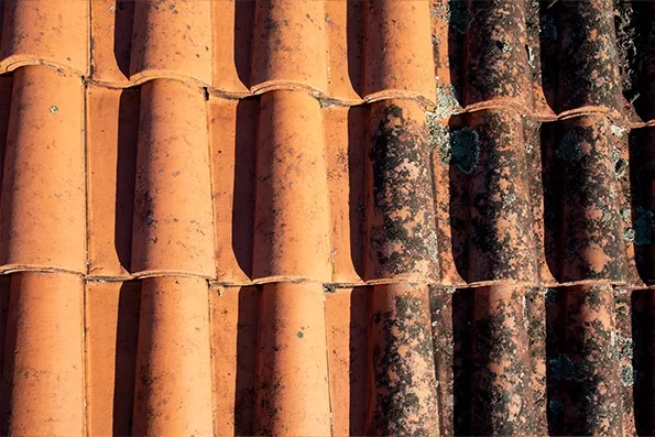 couverture &agrave; Grasse